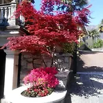Ξενοδοχείο Azalea Μπαβένο