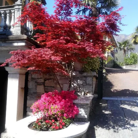 Hotel Azalea Baveno