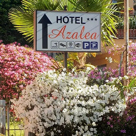 Azalea Baveno