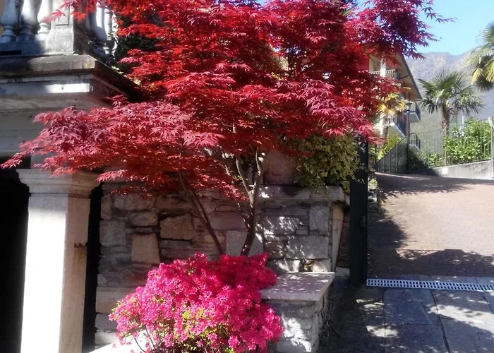 Hotell Azalea Baveno